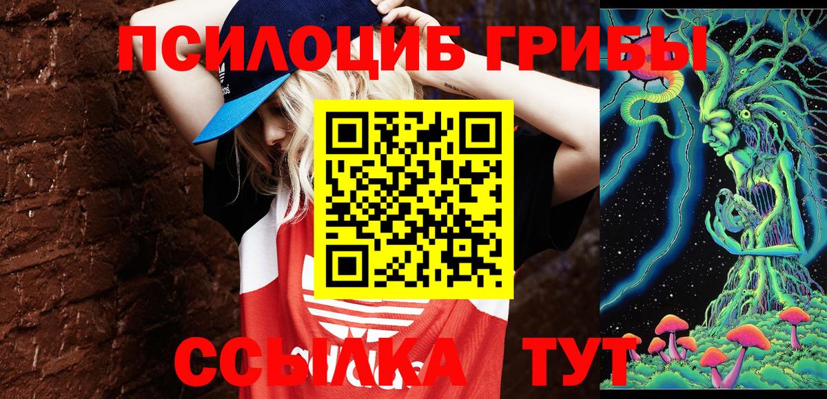 сколько стоит  Вход с VPN  Сибай  Псилоцибиновые грибы прущие грибы 