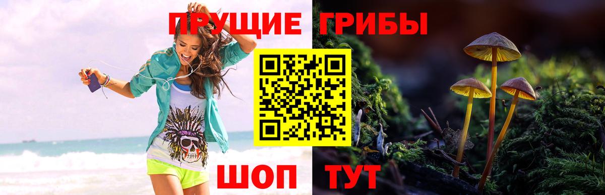 Галлюциногенные грибы мухоморы Сибай